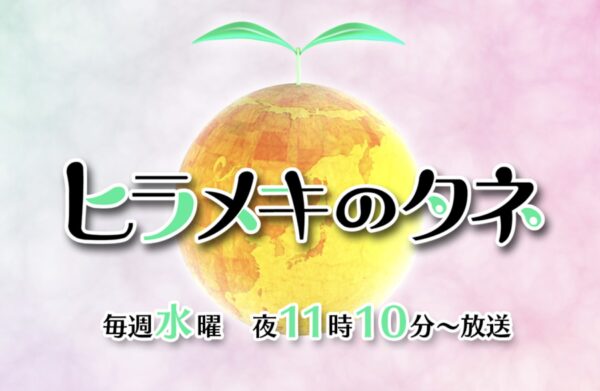 ヒラメキのタネ